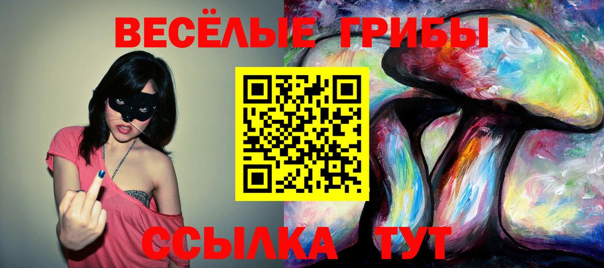 Псилоцибиновые грибы мицелий  Вход с VPN  Бугульма 